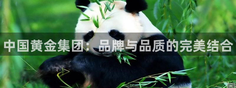 开丰娱乐怎么样：中国黄金集团：品牌与品质的完美结合