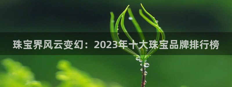 如何注册开丰娱乐账号：珠宝界风云变幻：2023年十大珠宝品牌排行榜