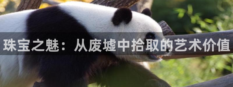 开丰娱乐日7O667：珠宝之魅：从废墟中拾取的艺术价值