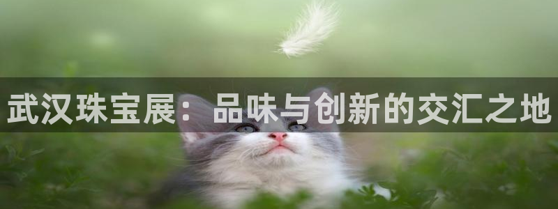 开丰娱乐左：武汉珠宝展：品味与创新的交汇之地