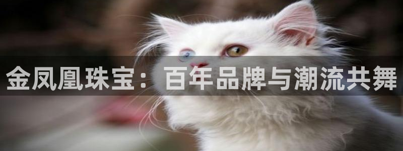 开丰娱乐67 5138：金凤凰珠宝：百年品牌与潮流共舞