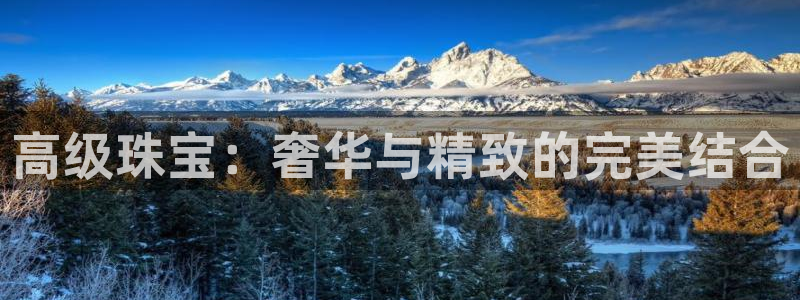 开丰娱乐平台地址在哪里：高级珠宝：奢华与精致的完美结合