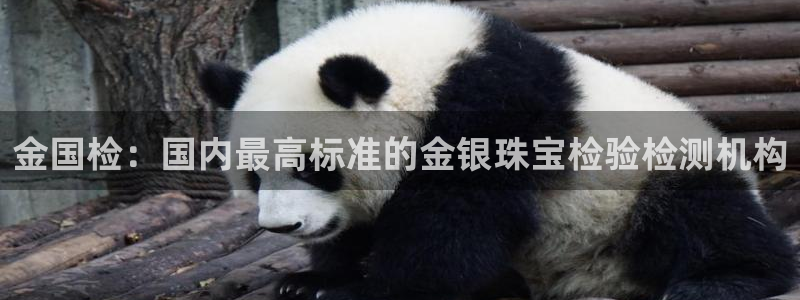 开丰娱乐登录网址：金国检：国内最高标准的金银珠宝检验检测机构