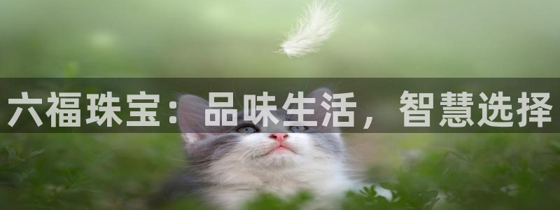 开丰娱乐上7O667：六福珠宝：品味生活，智慧选择