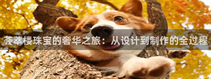 开丰娱乐开户：荟萃楼珠宝的奢华之旅：从设计到制作的全过程