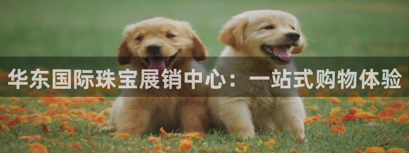 开丰娱乐测速：华东国际珠宝展销中心：一站式购物体验