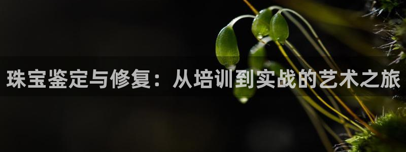 开丰娱乐月：珠宝鉴定与修复：从培训到实战的艺术之旅