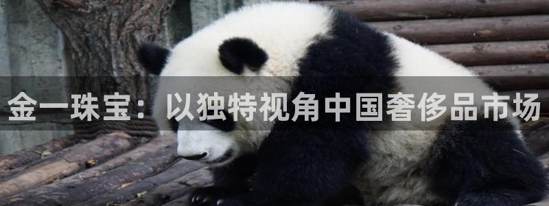 开丰娱乐后7O667：金一珠宝：以独特视角中国奢侈品市场
