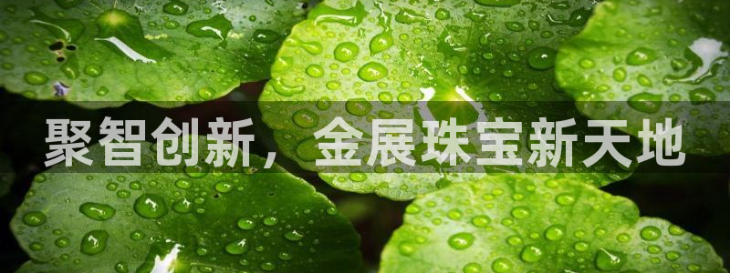 开丰娱乐网官网注册入口：聚智创新，金展珠宝新天地