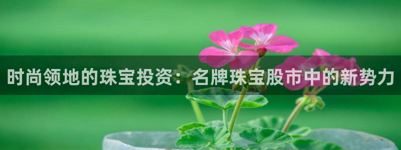 开丰娱乐平台注册时间：时尚领地的珠宝投资：名牌珠宝股市中的新势力