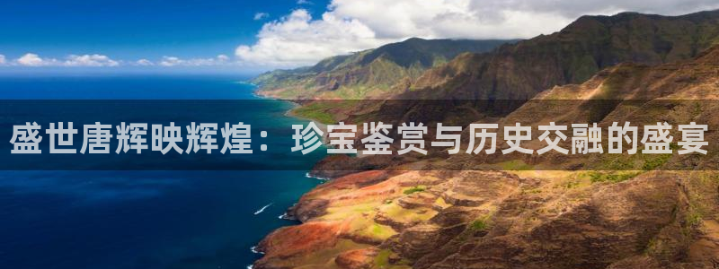 开丰娱乐后7O667：盛世唐辉映辉煌：珍宝鉴赏与历史交融的盛宴