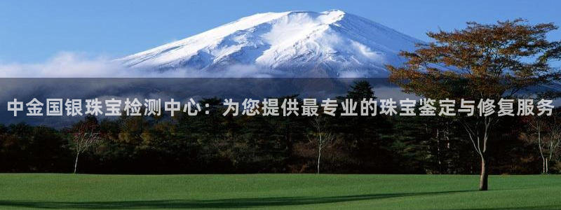 开丰娱乐右7O667：中金国银珠宝检测中心：为您提供最专业的珠宝鉴定与修复服务