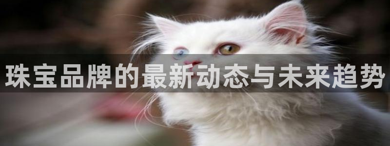 开丰娱乐平台地址查询：珠宝品牌的最新动态与未来趋势