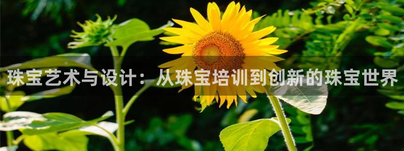 开丰娱乐乙833_43：珠宝艺术与设计：从珠宝培训到创新的珠宝世界