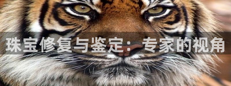 开丰娱乐登录官方网站：珠宝修复与鉴定：专家的视角