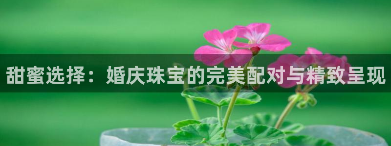 开丰娱乐注册资金多少：甜蜜选择：婚庆珠宝的完美配对与精致呈现