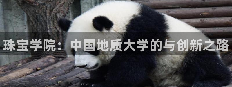 开丰娱乐上7O667：珠宝学院：中国地质大学的与创新之路