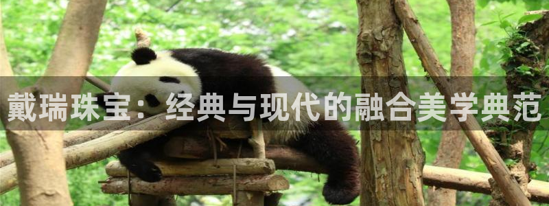 开丰娱乐天7O667：戴瑞珠宝：经典与现代的融合美学典范