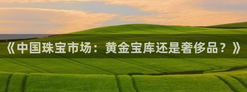 开丰娱乐于六七五一38：《中国珠宝市场：黄金宝库还是奢侈品？》