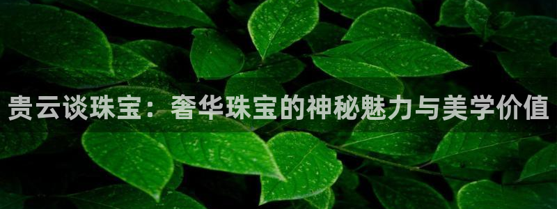 下载开丰娱乐：贵云谈珠宝：奢华珠宝的神秘魅力与美学价值