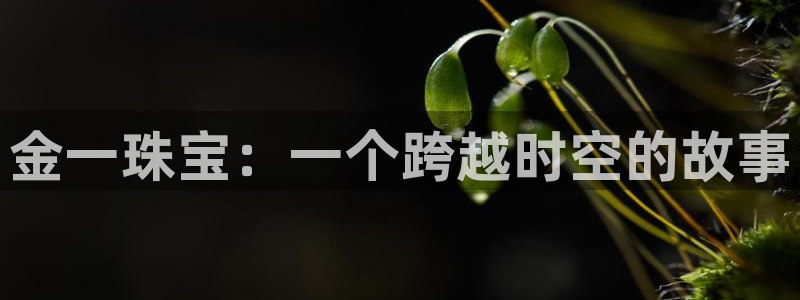 开丰娱乐平台：金一珠宝：一个跨越时空的故事
