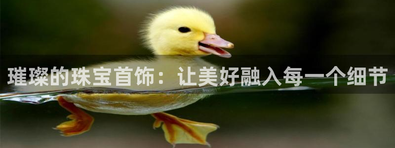 开丰娱乐注册登录不了：璀璨的珠宝首饰：让美好融入每一个细节