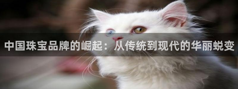 开丰娱乐趣 7O935：中国珠宝品牌的崛起：从传统到现代的华丽蜕变