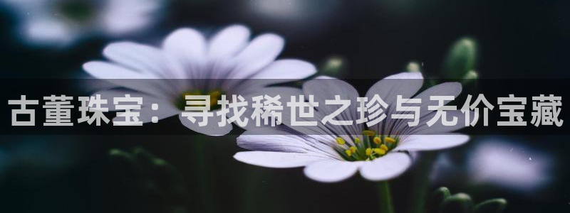 开丰娱乐下：古董珠宝：寻找稀世之珍与无价宝藏