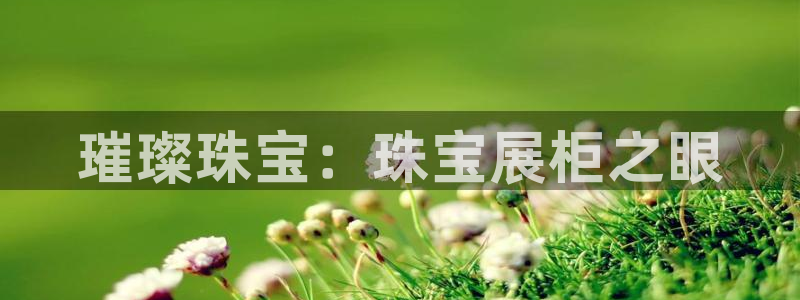 开丰娱乐登录平台：璀璨珠宝：珠宝展柜之眼